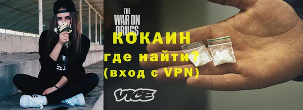 индика Мегион