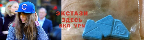 индика Мегион