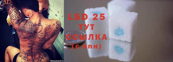 ALPHA PVP Медвежьегорск