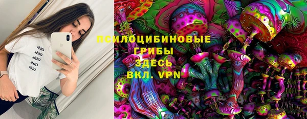 индика Мегион