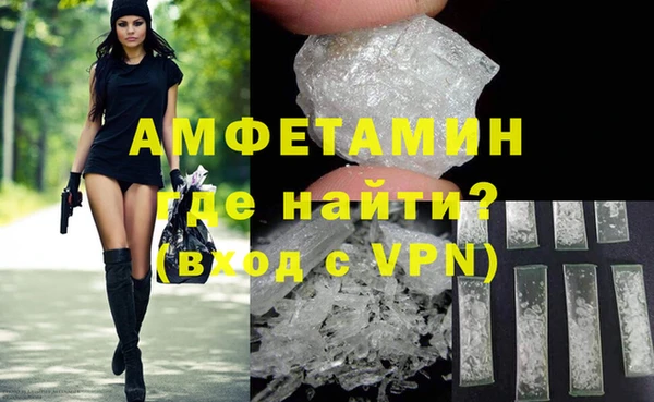 индика Мегион