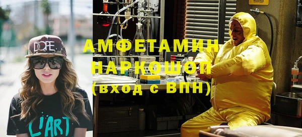 индика Мегион