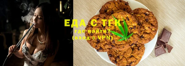 индика Мегион