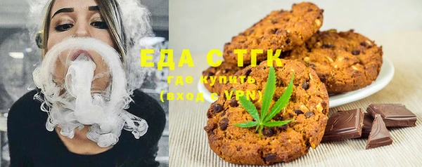 индика Мегион