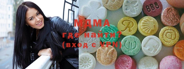 индика Мегион