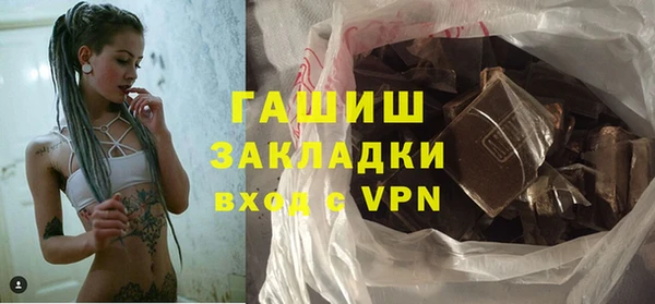 индика Мегион