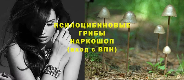 индика Мегион