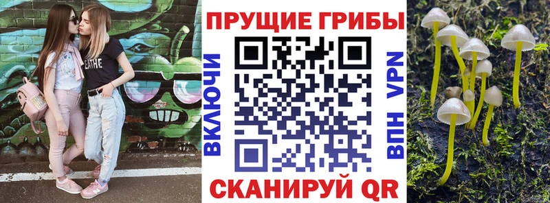 Псилоцибиновые грибы Magic Shrooms Нижний Новгород