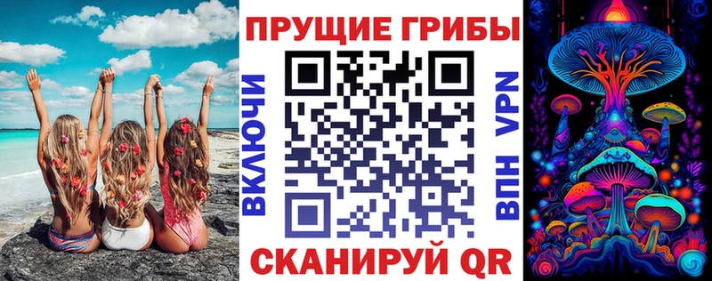 как найти закладки  OMG сайт  Псилоцибиновые грибы Cubensis  Нижний Новгород 